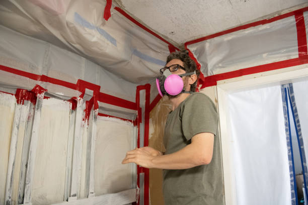 Mold Odor Removal Services in Tonto Basin, AZ